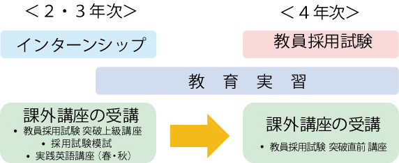 2・3年次 インターンシップ 4年次 教員採用試験
