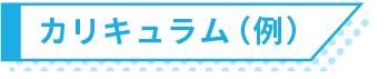 カリキュラム（例）