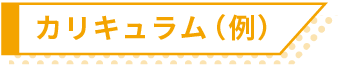 カリキュラム（例）