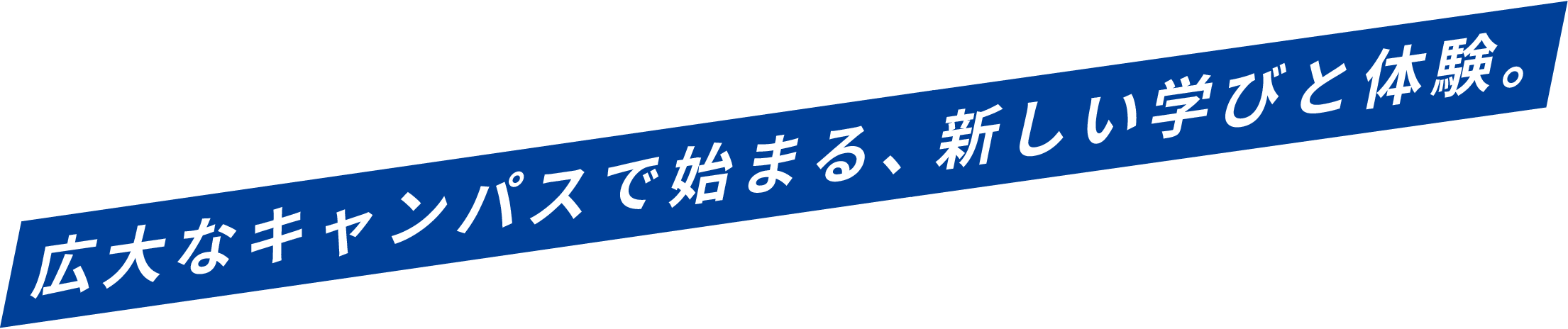 広大なキャンパスで始まる、新しい学びと体験